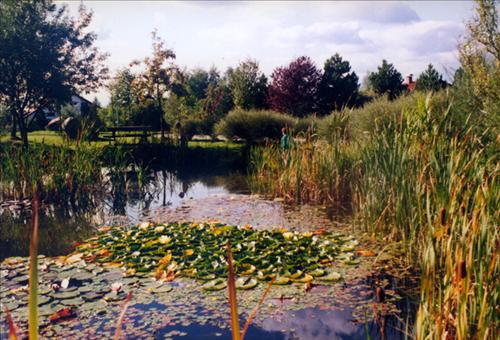 Landhotel Allgaeuer Hof Wolfegg Facilități foto